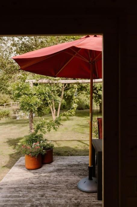Natuurhuisje In Het Weiland Hébergement de vacances Topweer